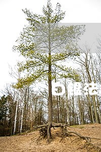 白银法律咨询求助多少钱 白银法律咨询求助多少钱