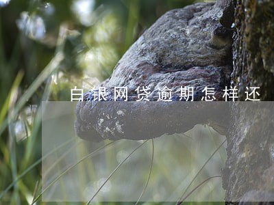 白银网贷逾期怎样还 白银网贷逾期怎样还