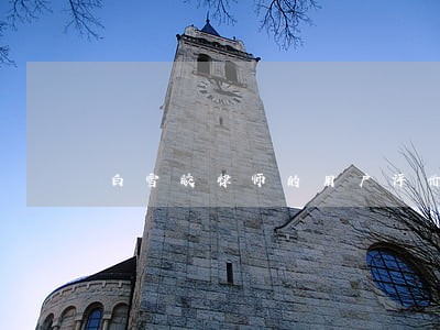 白雪皎律师的用户评价 白雪皎律师的用户评价