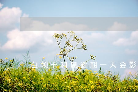 白领卡利息逾期一天会影响征信吗 白领卡利息逾期一天会影响征信吗