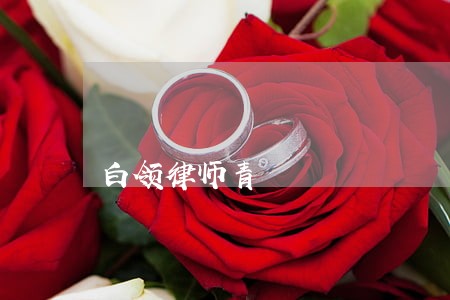 白领律师青 白领律师青
