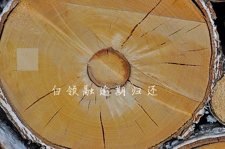 白领融逾期归还 白领融逾期归还