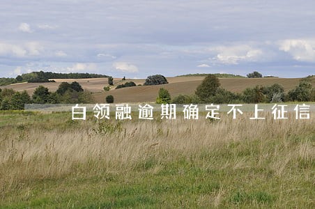 白领融逾期确定不上征信