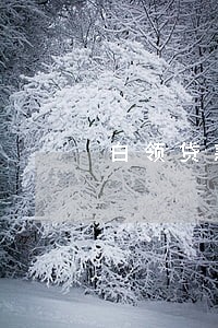 白领贷款逾期利息太高 白领贷款逾期利息太高