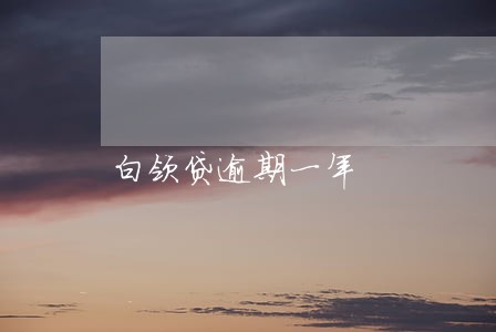 白领贷逾期一年