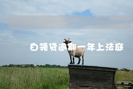 白领贷逾期一年上法庭 白领贷逾期一年上法庭