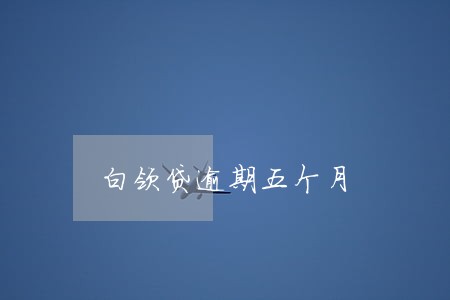 白领贷逾期五个月