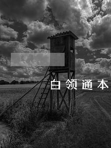 白领通本金逾期几天被冻结了 白领通本金逾期几天被冻结了