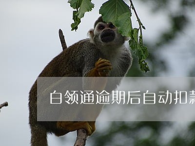 白领通逾期后自动扣款 白领通逾期后自动扣款