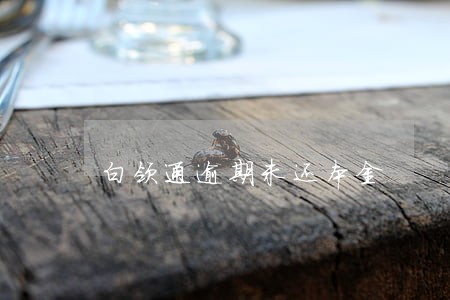 白领通逾期未还本金 白领通逾期未还本金