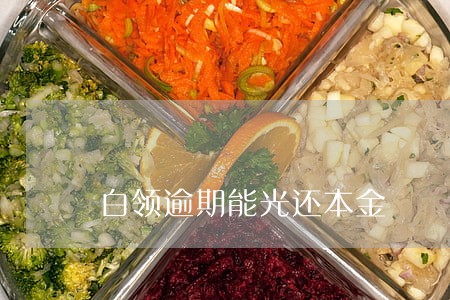 白领逾期能光还本金 白领逾期能光还本金