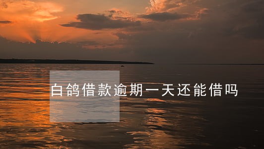 白鸽借款逾期一天还能借吗 白鸽借款逾期一天还能借吗