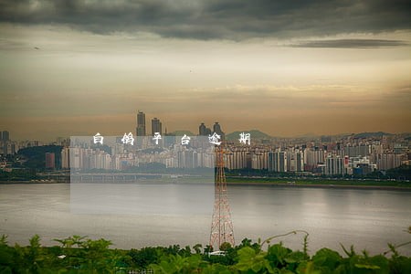 白鸽平台逾期 白鸽平台逾期