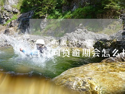 白鸽网贷逾期会怎么样 白鸽网贷逾期会怎么样
