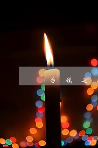 白鸽逾期一天会爆通讯录吗 白鸽逾期一天会爆通讯录吗