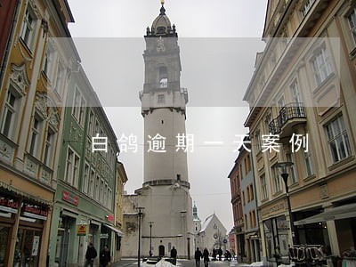 白鸽逾期一天案例 白鸽逾期一天案例