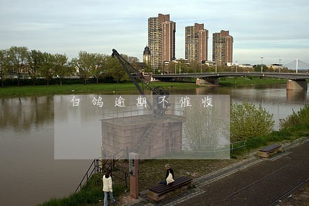 白鸽逾期不催收 白鸽逾期不催收