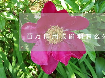 百万信用卡逾期怎么处理 百万信用卡逾期怎么处理
