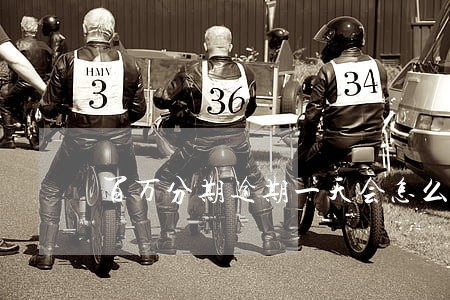 百万分期逾期一天会怎么样 百万分期逾期一天会怎么样