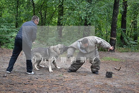 百万分期逾期了 百万分期逾期了