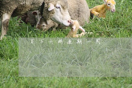 百万大鹅逾期一周 百万大鹅逾期一周