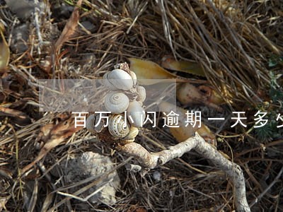 百万小闪逾期一天多少费用 百万小闪逾期一天多少费用