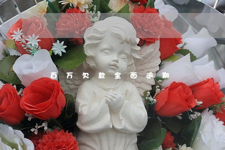 百万欠款全面逾期 百万欠款全面逾期