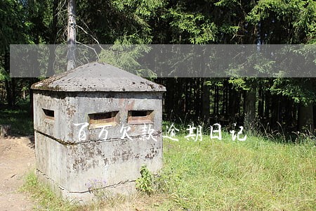 百万欠款逾期日记 百万欠款逾期日记