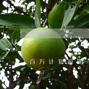 百万计划逾期一天费用是多少