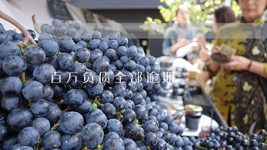 百万负债全部逾期 百万负债全部逾期