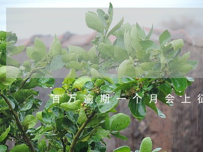 百万逾期一个月会上征信吗 百万逾期一个月会上征信吗