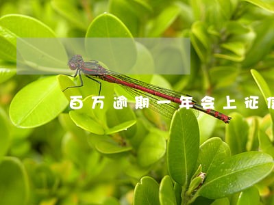 百万逾期一年会上征信吗