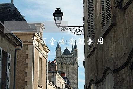 百万金库逾期费用 百万金库逾期费用