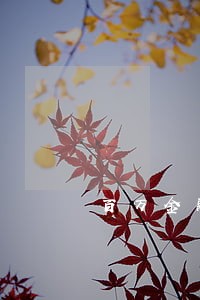 百万金融逾期怎么办 百万金融逾期怎么办