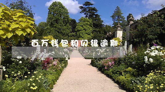 百万钱包和闪银逾期 百万钱包和闪银逾期