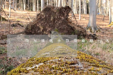 百万钱包小百贷逾期一天