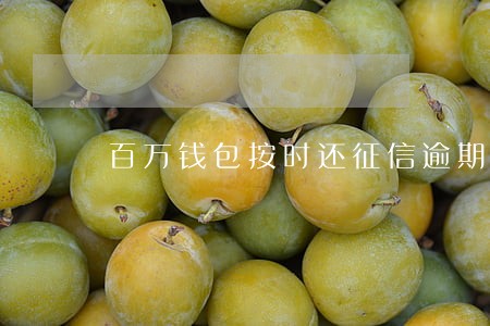 百万钱包按时还征信逾期 百万钱包按时还征信逾期