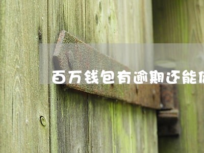百万钱包有逾期还能借吗