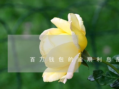 百万钱包的逾期利息是多少 百万钱包的逾期利息是多少