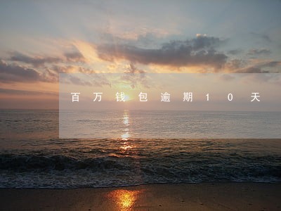 百万钱包逾期10天 百万钱包逾期10天