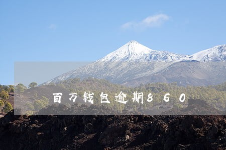 百万钱包逾期860