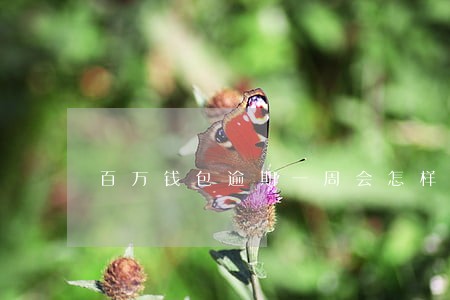 百万钱包逾期一周会怎样 百万钱包逾期一周会怎样