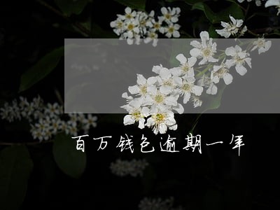 百万钱包逾期一年 百万钱包逾期一年