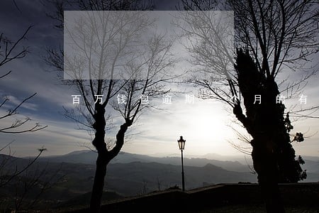 百万钱包逾期三个月的有吗