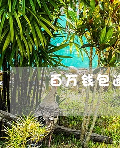 百万钱包逾期两天会怎么样