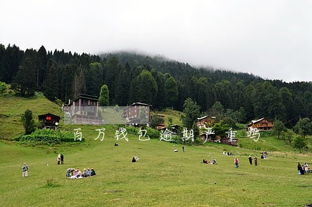 百万钱包逾期严重吗