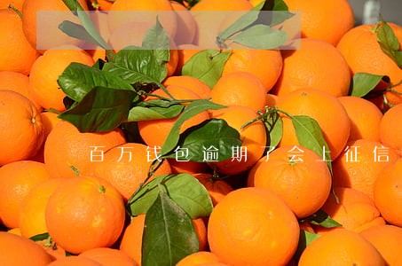 百万钱包逾期了会上征信吗