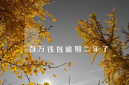 百万钱包逾期二年了