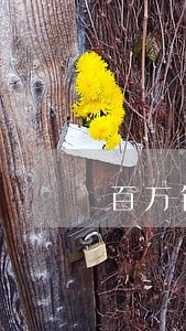 百万钱包逾期会上征信吗 百万钱包逾期会上征信吗