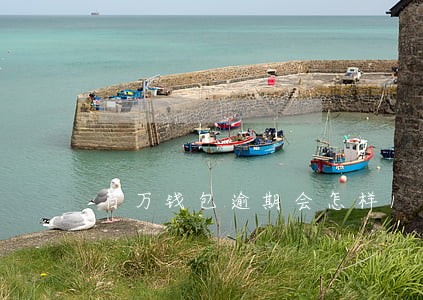 百万钱包逾期会怎样1分钟看懂 百万钱包逾期会怎样1分钟看懂